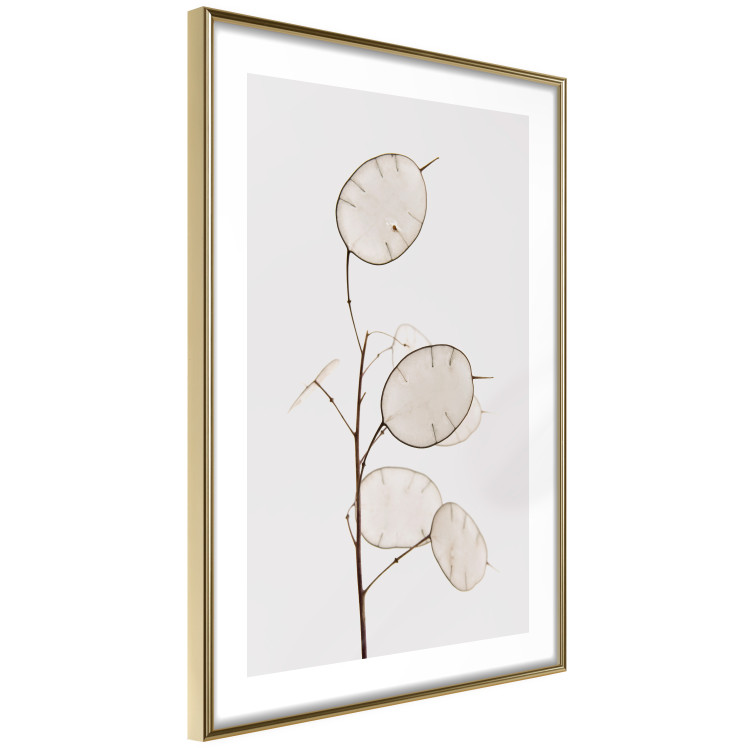 Wall Poster Sunny Direction - a simple composition with bright foliage on a white background 136050 additionalImage 9