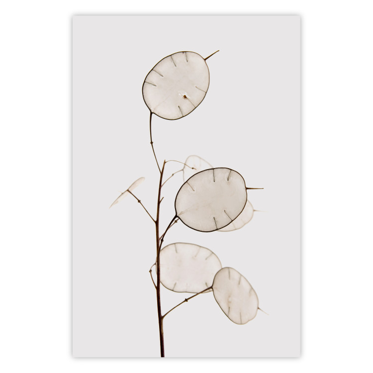 Wall Poster Sunny Direction - a simple composition with bright foliage on a white background 136050