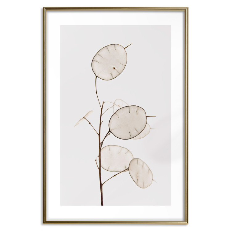 Wall Poster Sunny Direction - a simple composition with bright foliage on a white background 136050 additionalImage 20