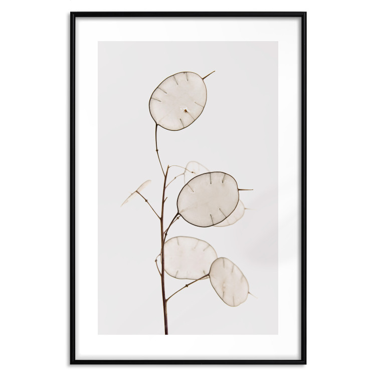 Wall Poster Sunny Direction - a simple composition with bright foliage on a white background 136050 additionalImage 25