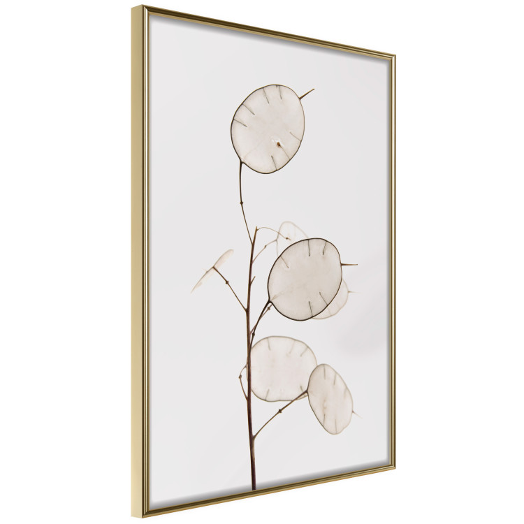 Wall Poster Sunny Direction - a simple composition with bright foliage on a white background 136050 additionalImage 6