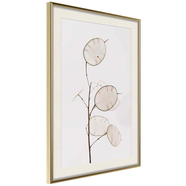 Wall Poster Sunny Direction - a simple composition with bright foliage on a white background 136050 additionalImage 11