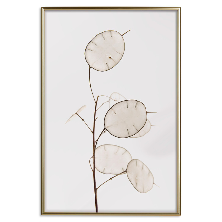 Wall Poster Sunny Direction - a simple composition with bright foliage on a white background 136050 additionalImage 18