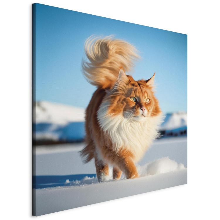 Canvas AI Norwegian Forest Cat - Long Haired Animal Walking on Snow - Square 150150 additionalImage 2