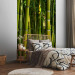 Wall Mural Orient - Forest Plant Motif with Bamboo in the Sun and Blurred Background 61450 additionalThumb 2