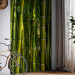 Wall Mural Orient - Forest Plant Motif with Bamboo in the Sun and Blurred Background 61450 additionalThumb 7
