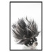 Poster Chihuahua - funny small dog with a fluffy mane on white background 114960 additionalThumb 24