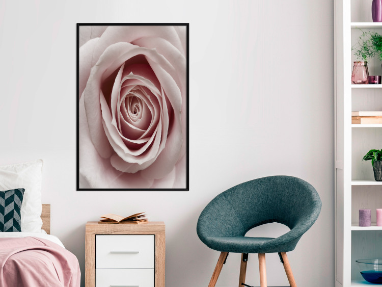Wall Poster Pastel Rose - composition with a flower with delicate pink petals 117160 additionalImage 5
