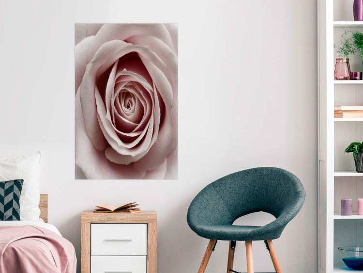 Wall Poster Pastel Rose - composition with a flower with delicate pink petals 117160 additionalImage 23