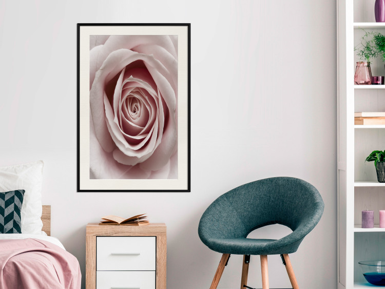 Wall Poster Pastel Rose - composition with a flower with delicate pink petals 117160 additionalImage 22