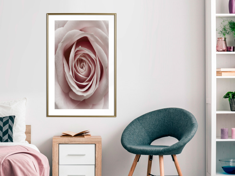 Wall Poster Pastel Rose - composition with a flower with delicate pink petals 117160 additionalImage 15