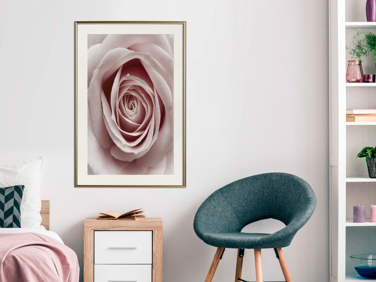 Wall Poster Pastel Rose - composition with a flower with delicate pink petals 117160 additionalImage 21