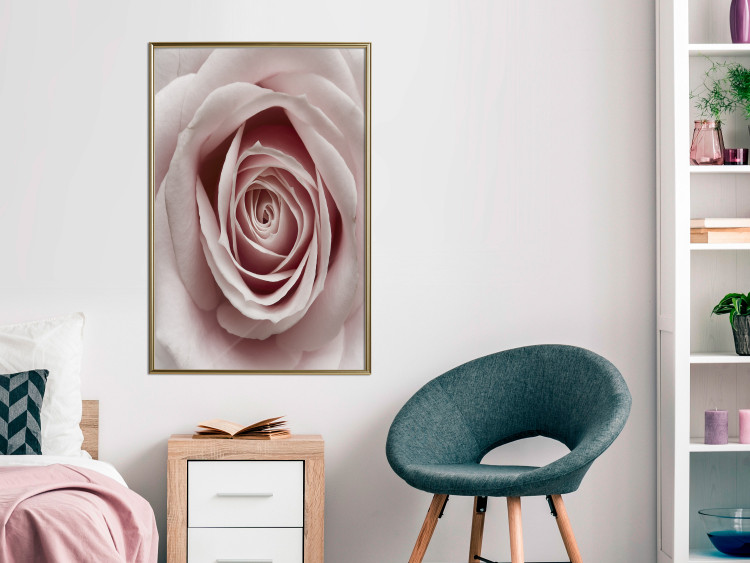 Wall Poster Pastel Rose - composition with a flower with delicate pink petals 117160 additionalImage 7