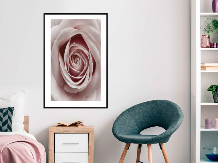 Wall Poster Pastel Rose - composition with a flower with delicate pink petals 117160 additionalImage 4