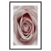 Wall Poster Pastel Rose - composition with a flower with delicate pink petals 117160 additionalThumb 17