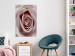 Wall Poster Pastel Rose - composition with a flower with delicate pink petals 117160 additionalThumb 23
