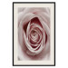 Wall Poster Pastel Rose - composition with a flower with delicate pink petals 117160 additionalThumb 18