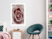 Wall Poster Pastel Rose - composition with a flower with delicate pink petals 117160 additionalThumb 2
