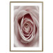 Wall Poster Pastel Rose - composition with a flower with delicate pink petals 117160 additionalThumb 16