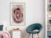 Wall Poster Pastel Rose - composition with a flower with delicate pink petals 117160 additionalThumb 21