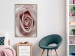 Wall Poster Pastel Rose - composition with a flower with delicate pink petals 117160 additionalThumb 7