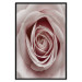 Wall Poster Pastel Rose - composition with a flower with delicate pink petals 117160 additionalThumb 24