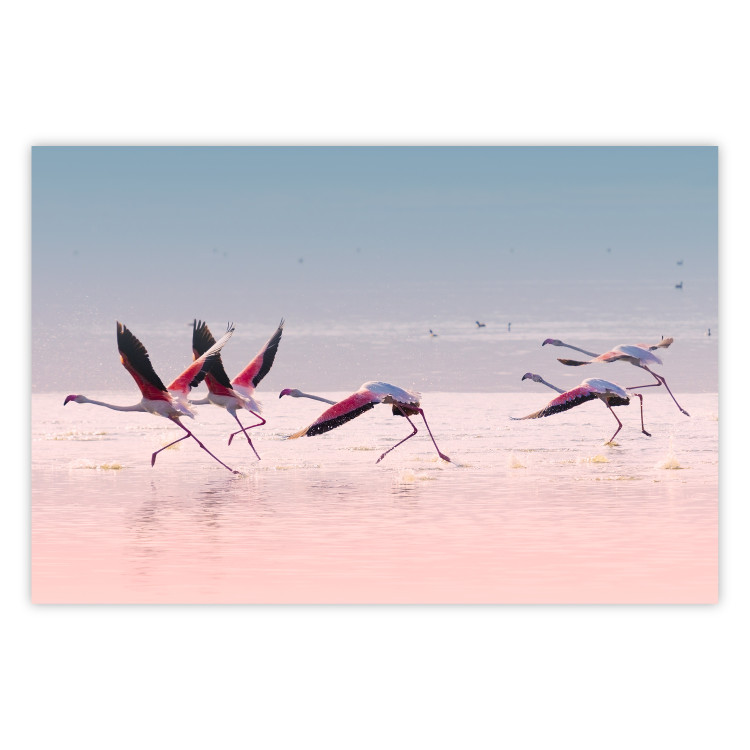 Poster Flamingo Race - summer landscape of pastel water with pink birds 117460