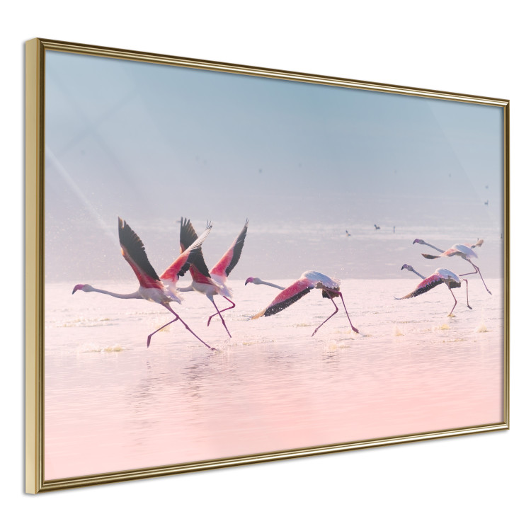 Poster Flamingo Race - summer landscape of pastel water with pink birds 117460 additionalImage 14