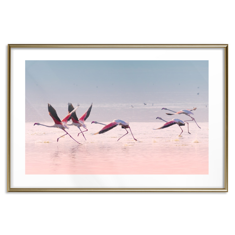 Poster Flamingo Race - summer landscape of pastel water with pink birds 117460 additionalImage 16