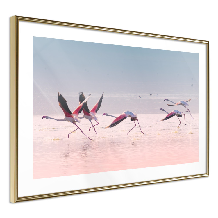 Poster Flamingo Race - summer landscape of pastel water with pink birds 117460 additionalImage 8
