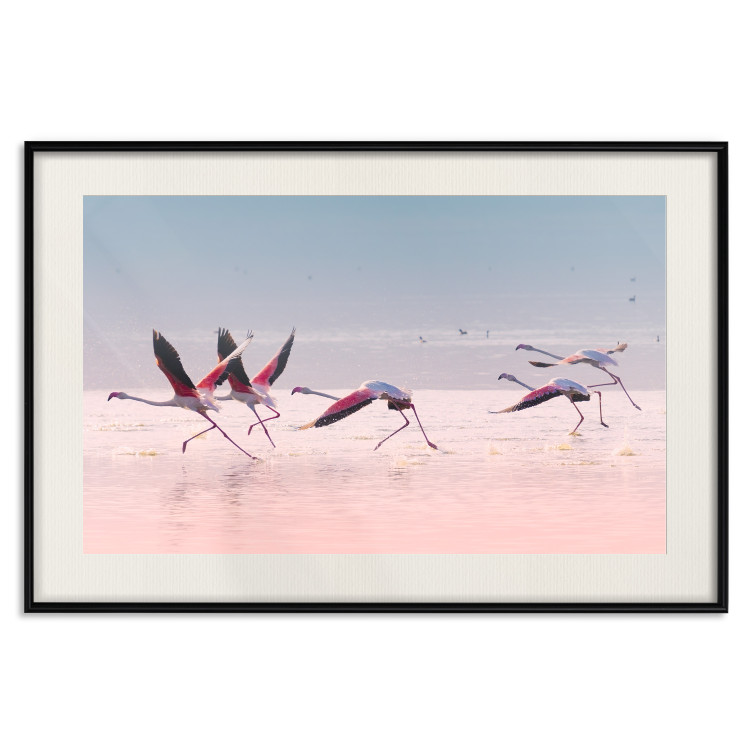 Poster Flamingo Race - summer landscape of pastel water with pink birds 117460 additionalImage 18