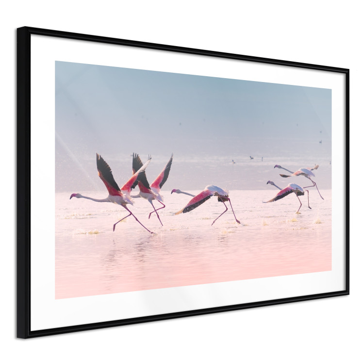 Poster Flamingo Race - summer landscape of pastel water with pink birds 117460 additionalImage 11