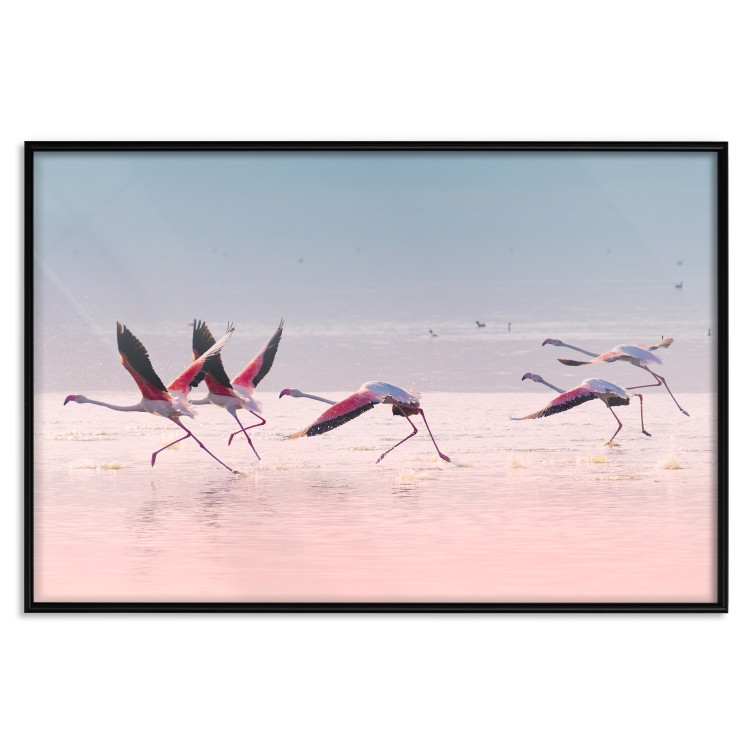 Poster Flamingo Race - summer landscape of pastel water with pink birds 117460 additionalImage 24