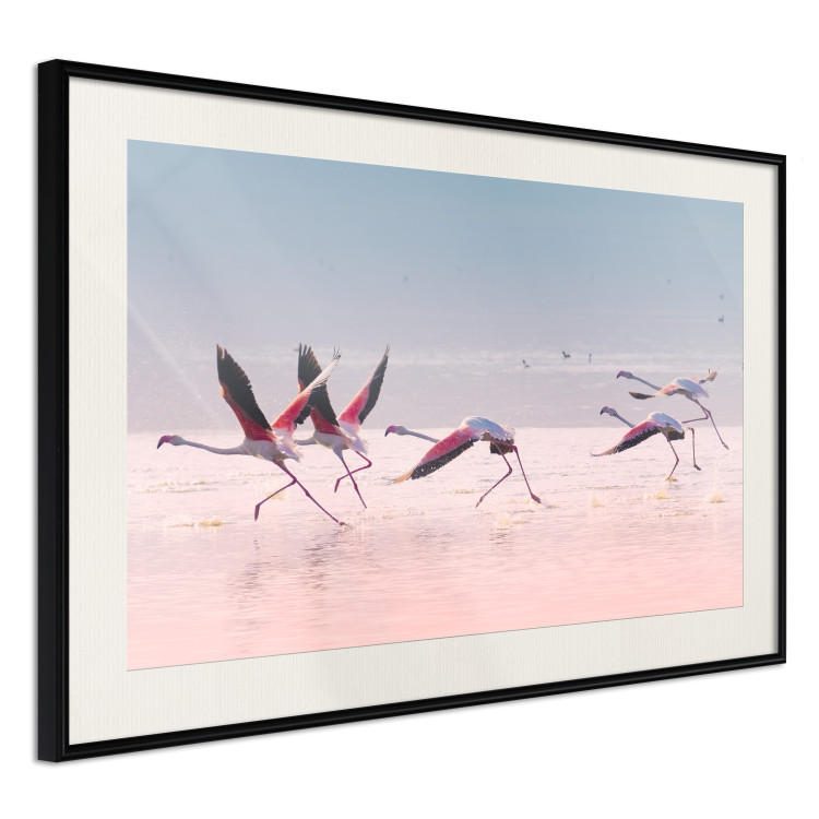 Poster Flamingo Race - summer landscape of pastel water with pink birds 117460 additionalImage 3