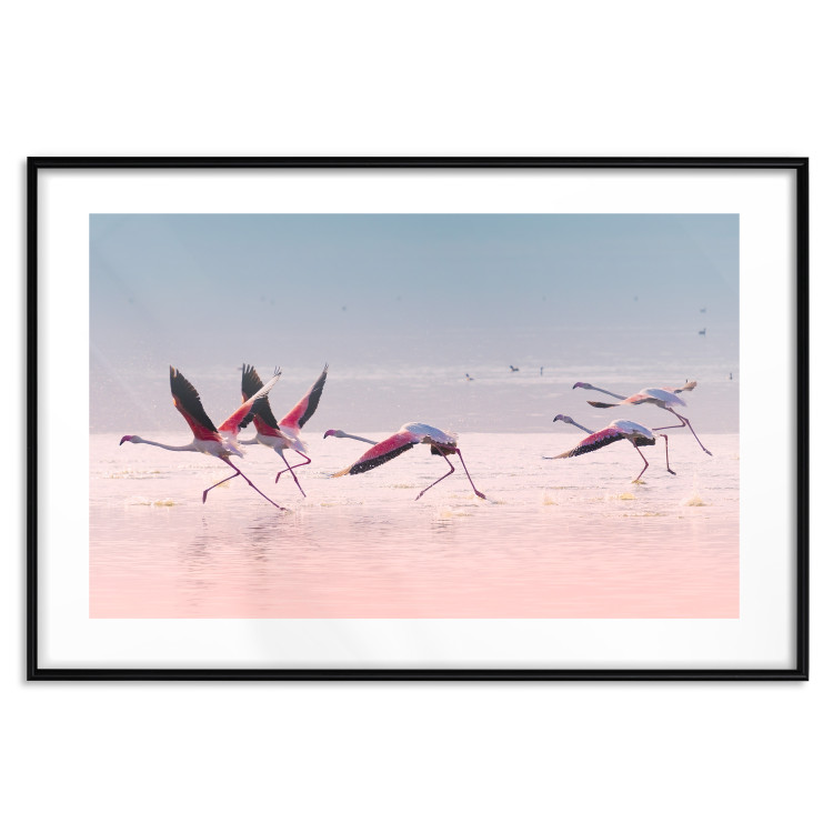 Poster Flamingo Race - summer landscape of pastel water with pink birds 117460 additionalImage 17