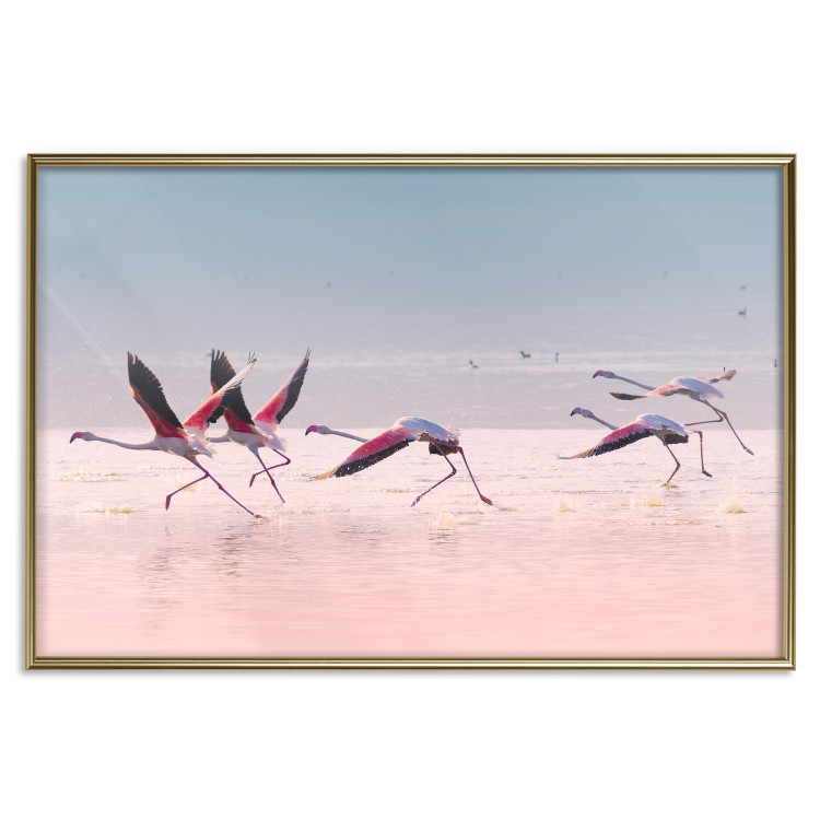 Poster Flamingo Race - summer landscape of pastel water with pink birds 117460 additionalImage 20
