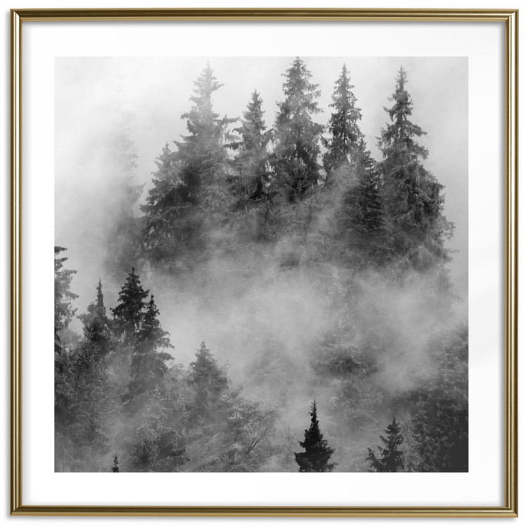 Poster Black Forest - black and white landscape of forest trees amidst dense fog 120460 additionalImage 14