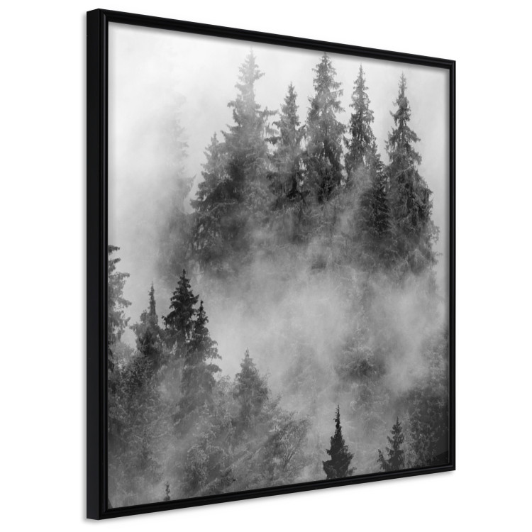 Poster Black Forest - black and white landscape of forest trees amidst dense fog 120460 additionalImage 10