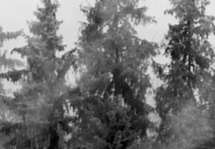 Poster Black Forest - black and white landscape of forest trees amidst dense fog 120460 additionalImage 9