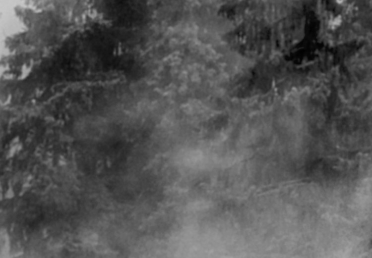 Poster Black Forest - black and white landscape of forest trees amidst dense fog 120460 additionalImage 8