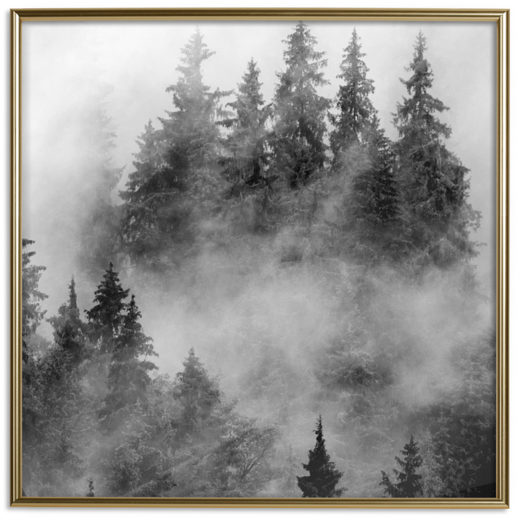 Poster Black Forest - black and white landscape of forest trees amidst dense fog 120460 additionalImage 16
