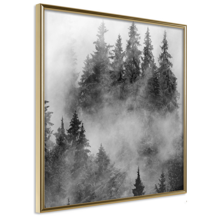 Poster Black Forest - black and white landscape of forest trees amidst dense fog 120460 additionalImage 12