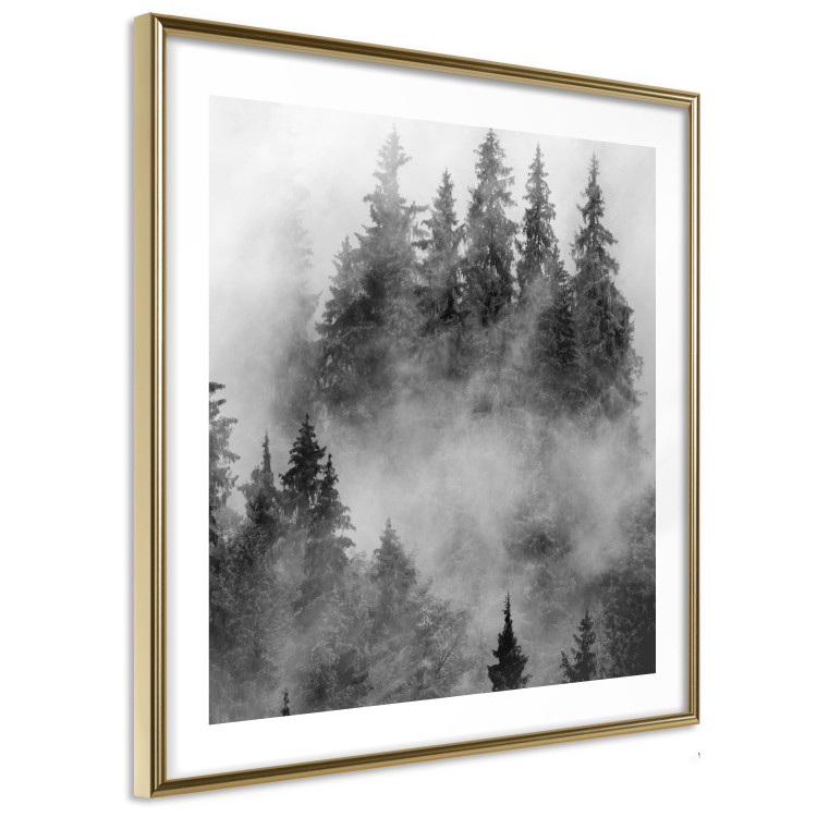 Poster Black Forest - black and white landscape of forest trees amidst dense fog 120460 additionalImage 6
