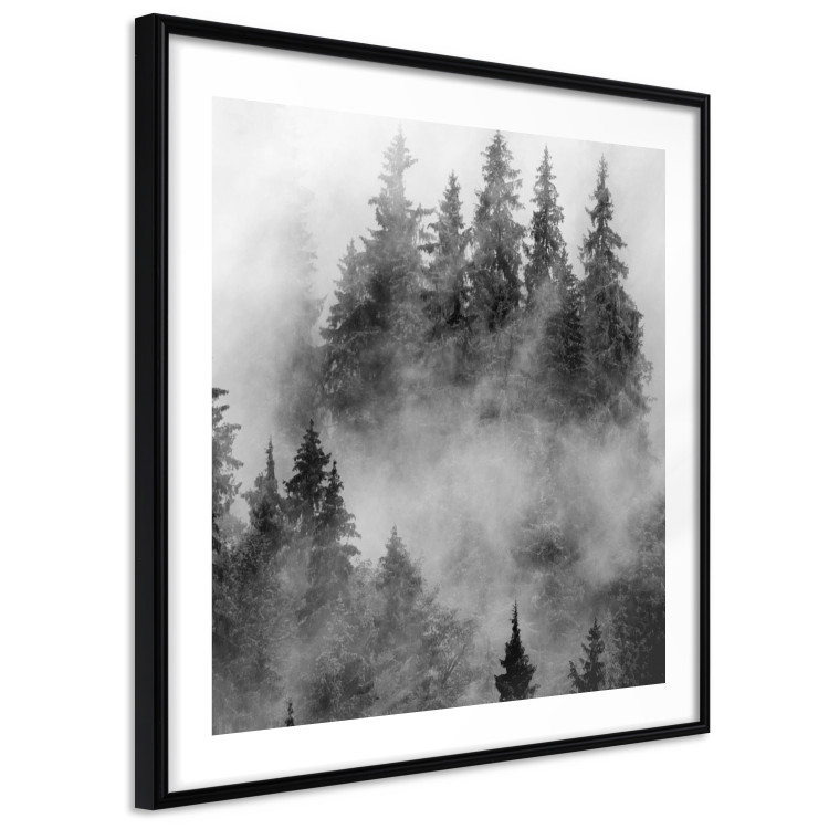 Poster Black Forest - black and white landscape of forest trees amidst dense fog 120460 additionalImage 11
