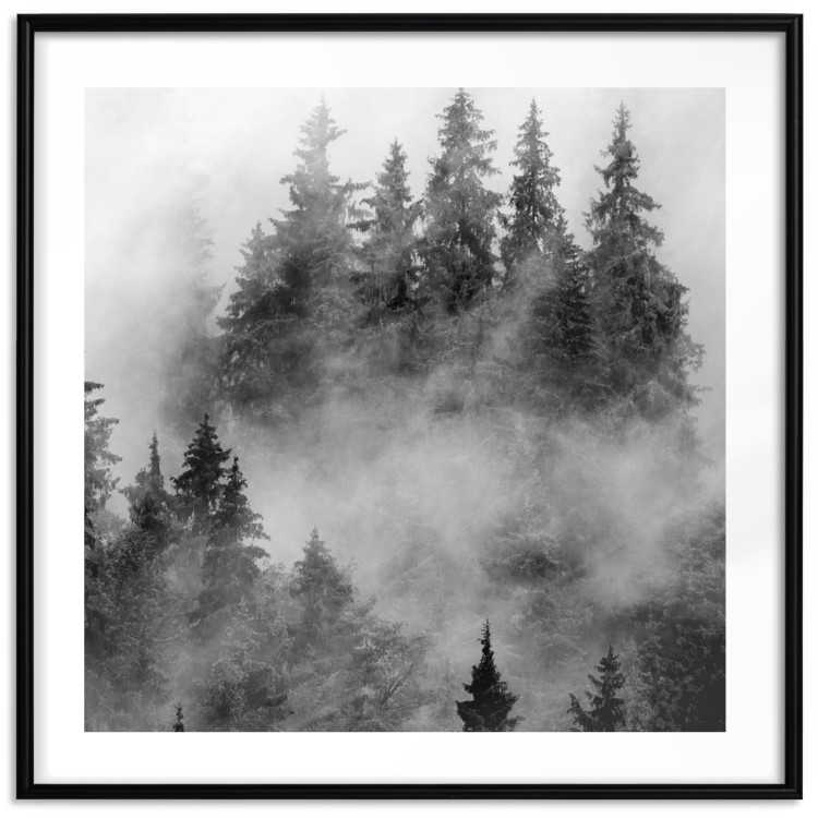 Poster Black Forest - black and white landscape of forest trees amidst dense fog 120460 additionalImage 15