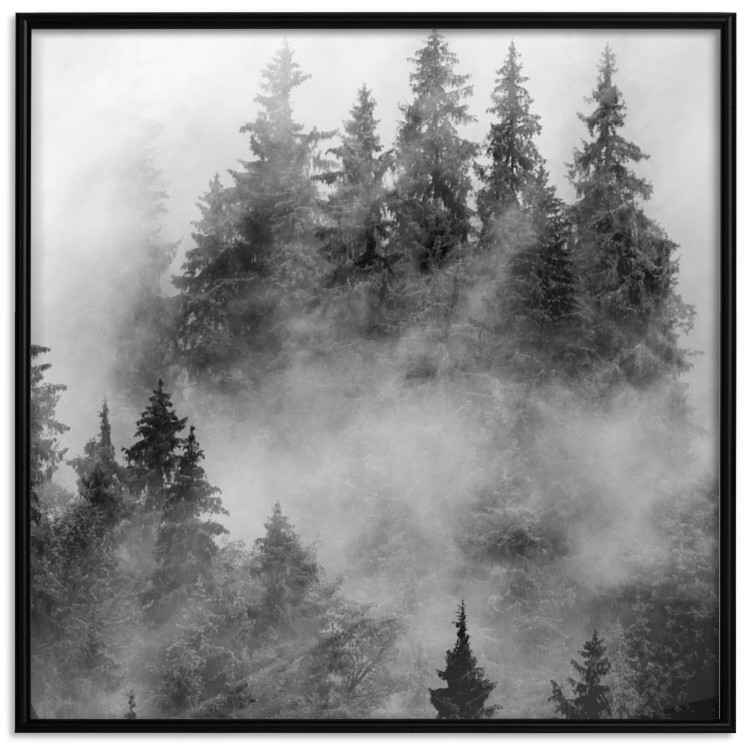 Poster Black Forest - black and white landscape of forest trees amidst dense fog 120460 additionalImage 18