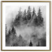 Poster Black Forest - black and white landscape of forest trees amidst dense fog 120460 additionalThumb 14