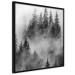 Poster Black Forest - black and white landscape of forest trees amidst dense fog 120460 additionalThumb 10