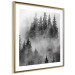 Poster Black Forest - black and white landscape of forest trees amidst dense fog 120460 additionalThumb 6