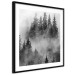 Poster Black Forest - black and white landscape of forest trees amidst dense fog 120460 additionalThumb 11
